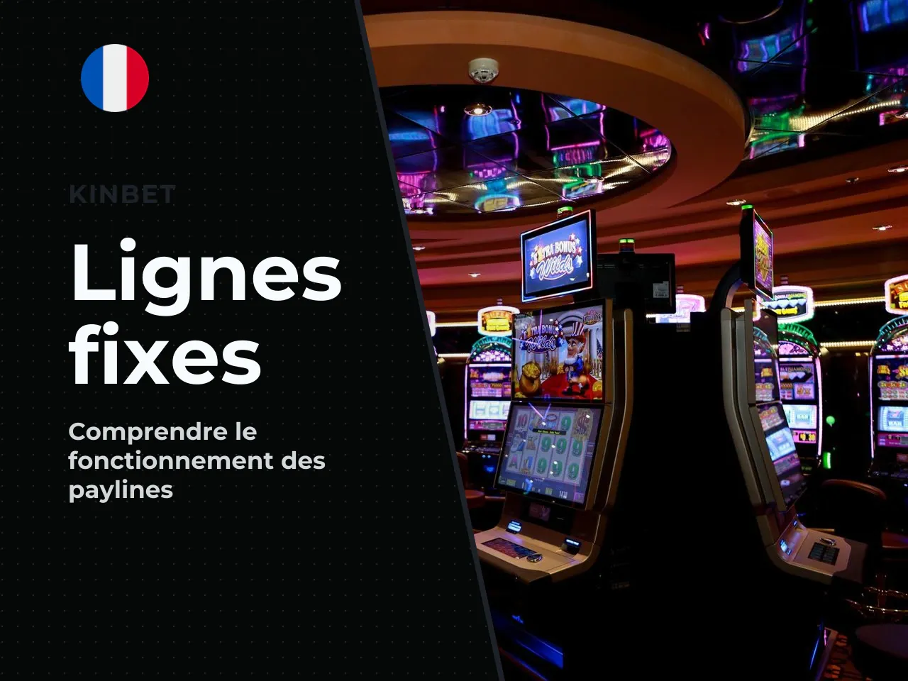 6.1. Lignes fixes ce que cela