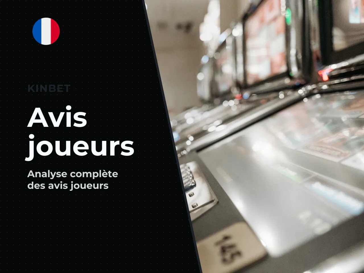 Synthèse des avis publiés 2024-2026