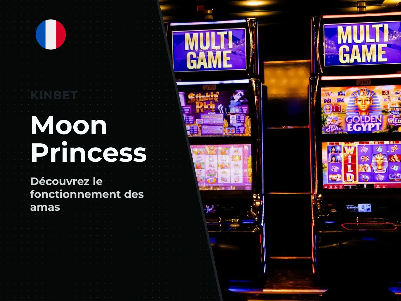 Moon Princess remplace les lignes fixes