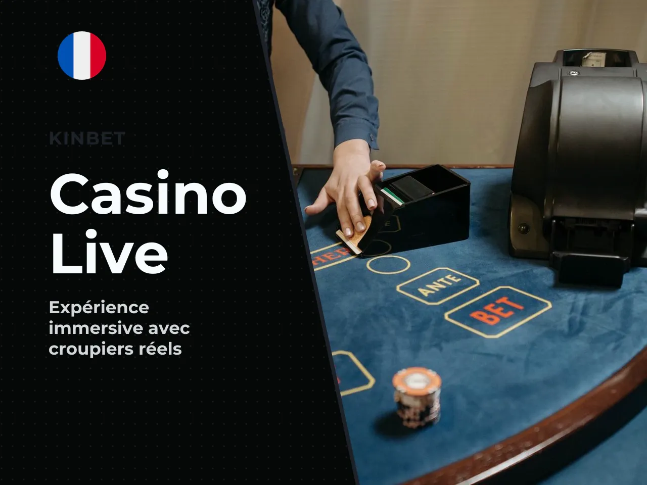 Kinbet jeux live et expérience avec